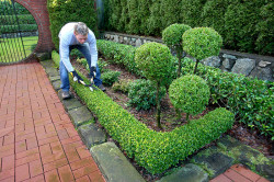 Création de jardin à Arès