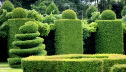 Entretien de jardin à Lanton