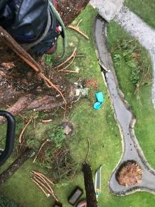 Travaux d'élagage à Andernos-les-Bains

